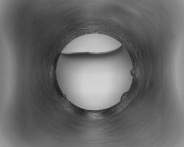 X0000111510283200907141110