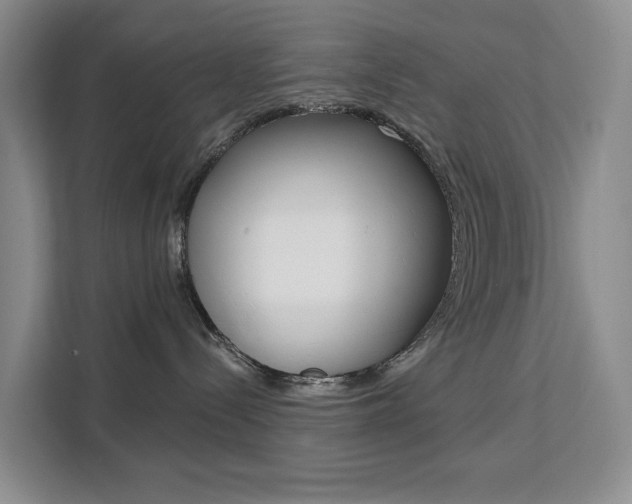 X0000111510288200907141110