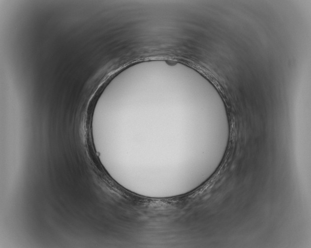 X0000111510290200907141110