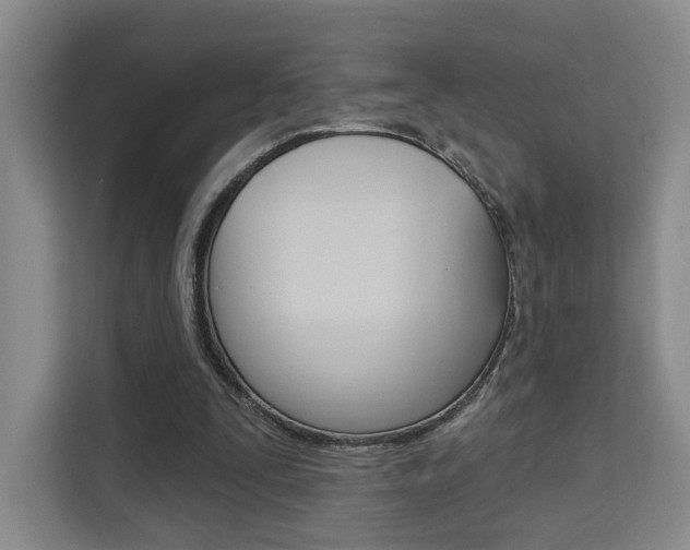 X0000111510295200907141110