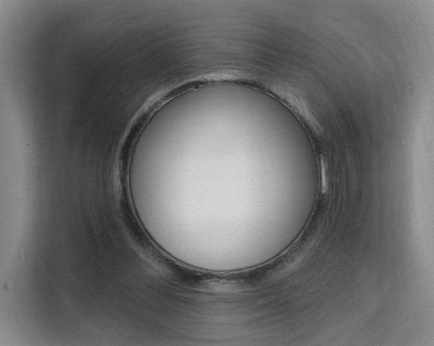 X0000111510300200907141110