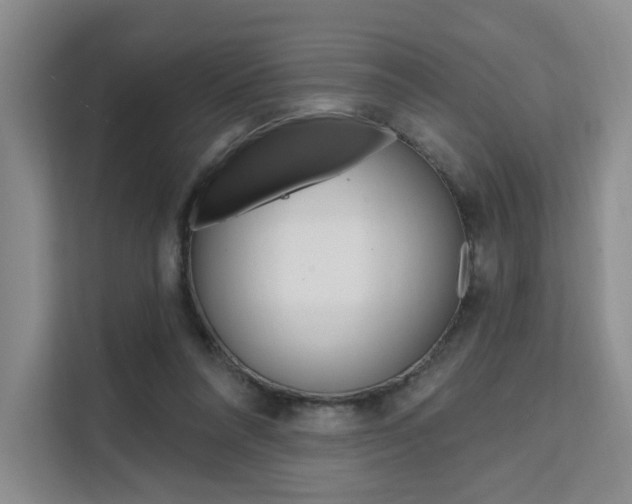 X0000111510304200907141109