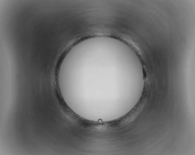 X0000111510306200907141109