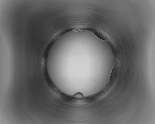 X0000111510308200907141109