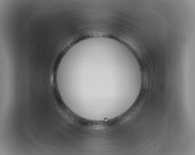 X0000111510310200907141109