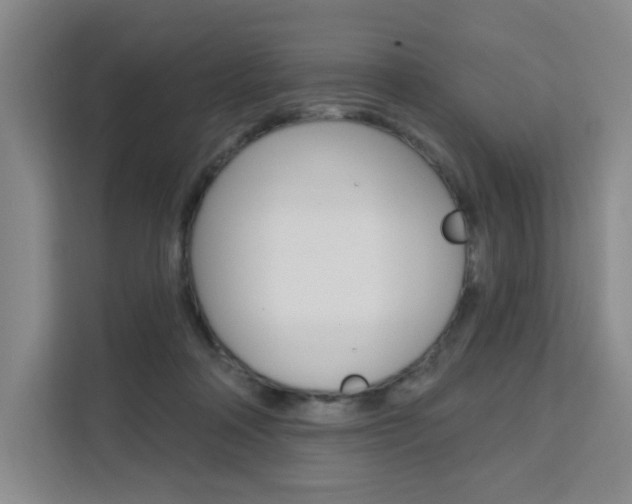 X0000111510314200907141109