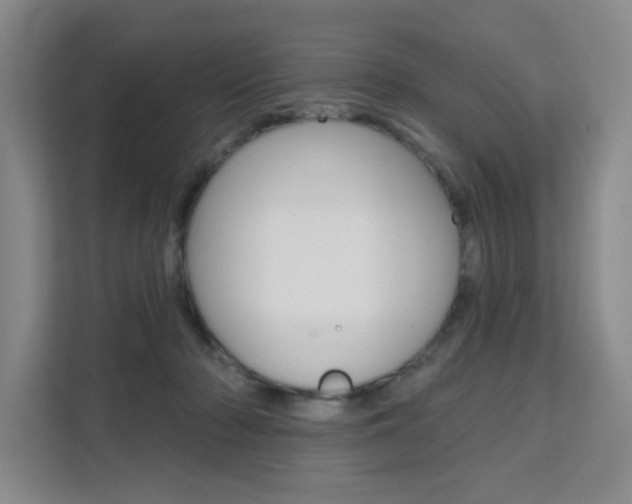 X0000111510318200907141109