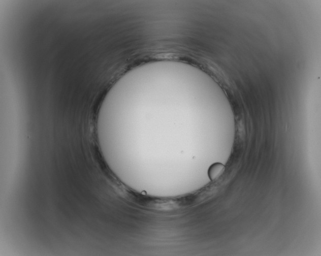 X0000111510322200907141109