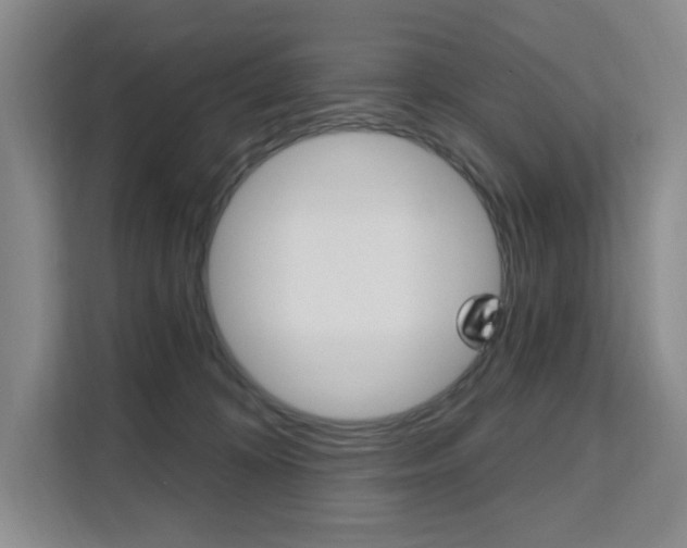 X0000111510324200907141109