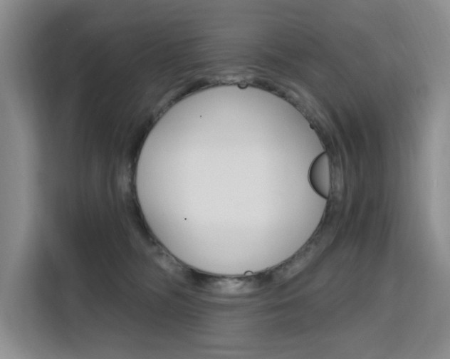 X0000111510326200907141109