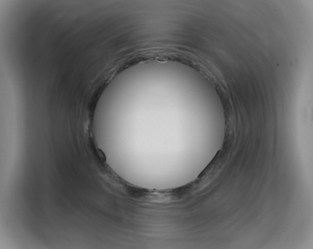 X0000111510328200907141109