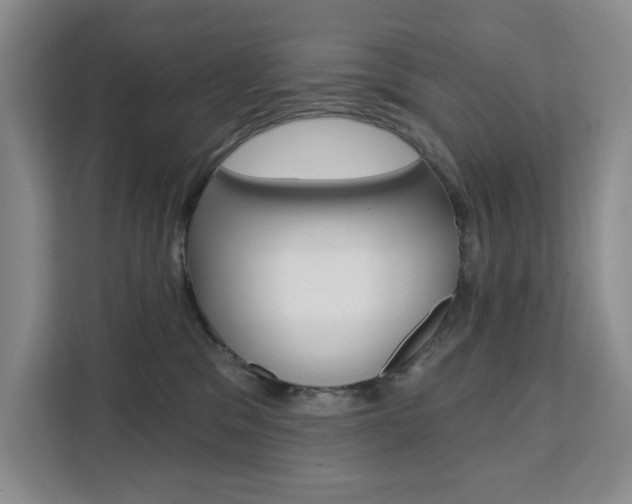 X0000111510329200907141109
