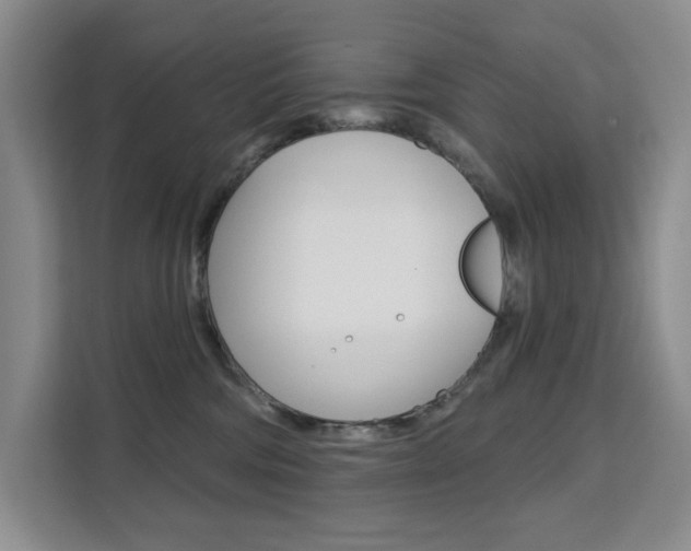 X0000111510330200907141109