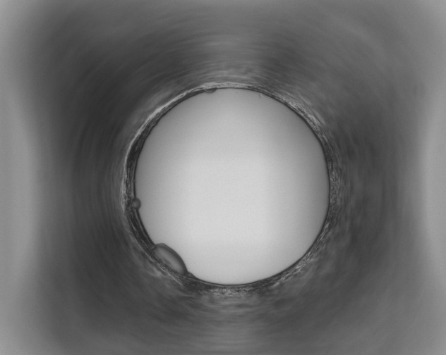 X0000111510338200907141108