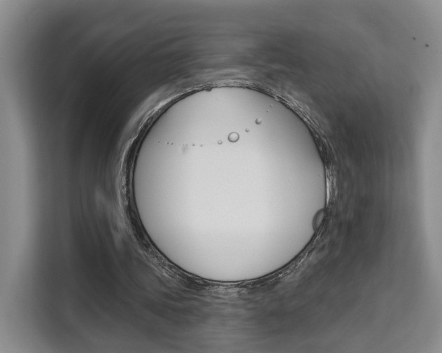 X0000111510339200907141108