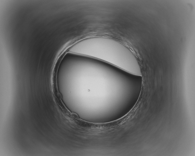 X0000111510340200907141108