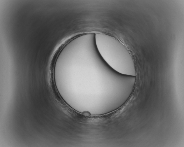X0000111510342200907141109