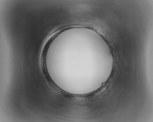 X0000111510343200907141109