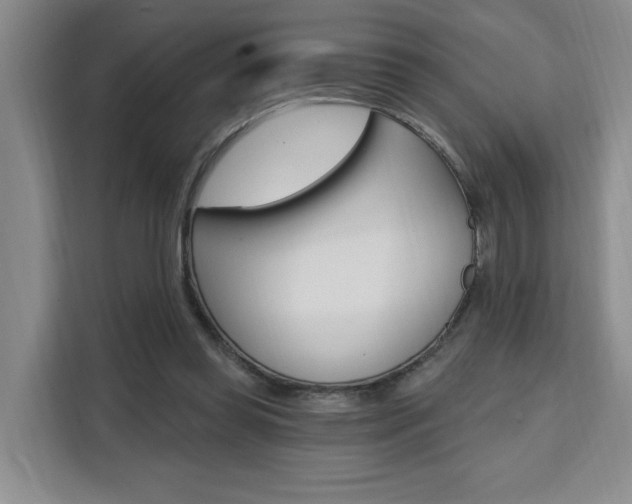 X0000111510349200907141109