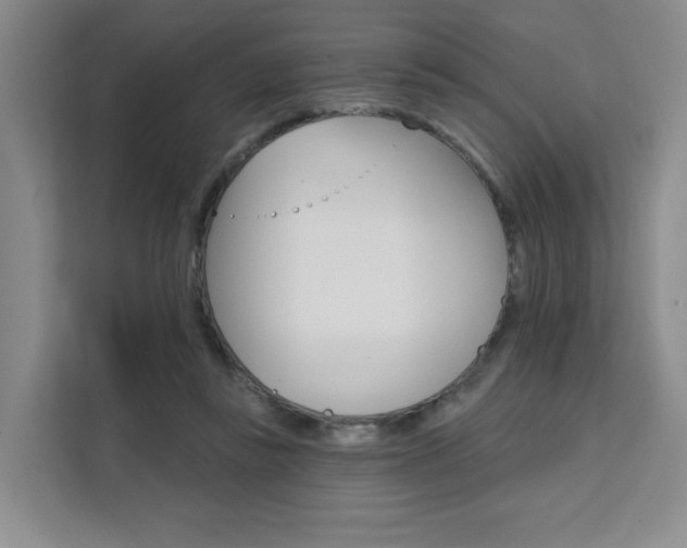 X0000111510355200907141109