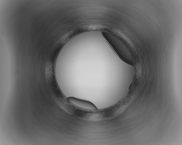 X0000111510356200907141109