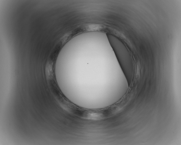 X0000111510360200907141109