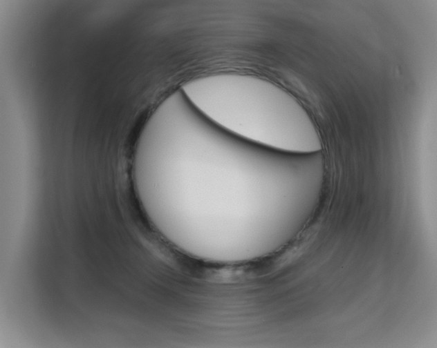 X0000111510366200907141109
