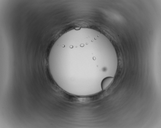 X0000111510371200907141109