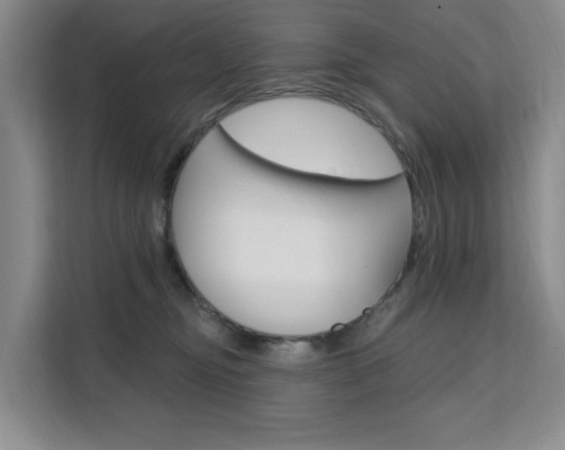 X0000111510374200907141109
