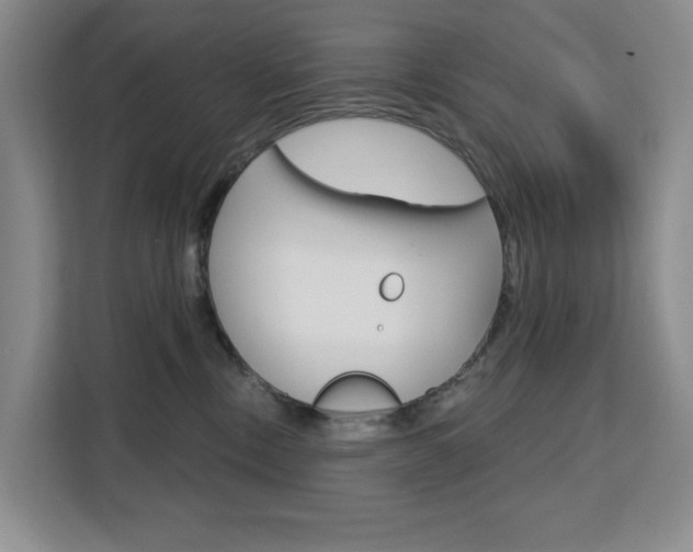 X0000111510378200907141109