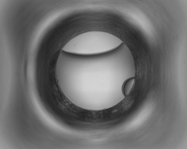 X0000111510383200907141109