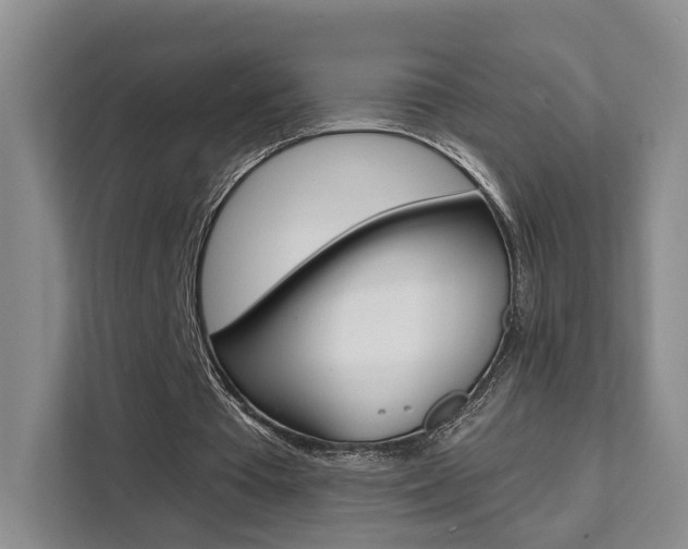 X0000111510385200907141108