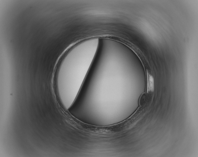 X0000111510387200907141108
