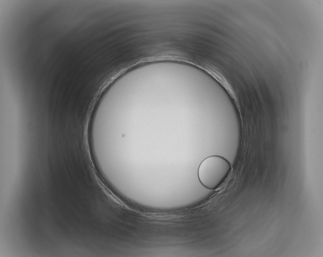 X0000111510389200907141108