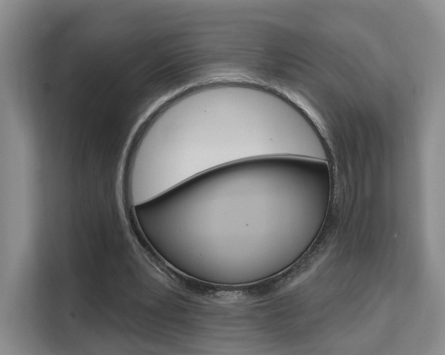 X0000111510391200907141108
