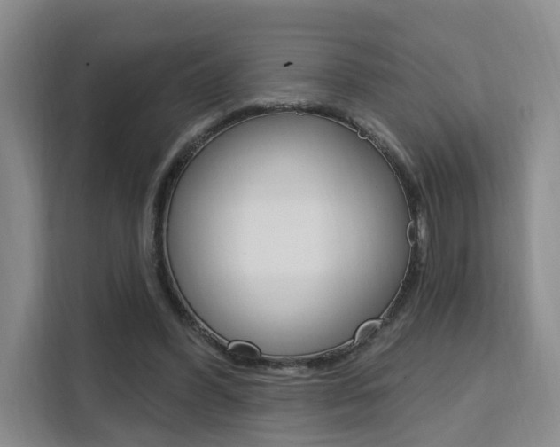X0000111510396200907141108