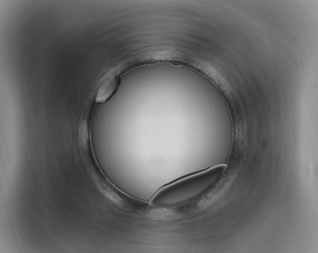 X0000111510397200907141108