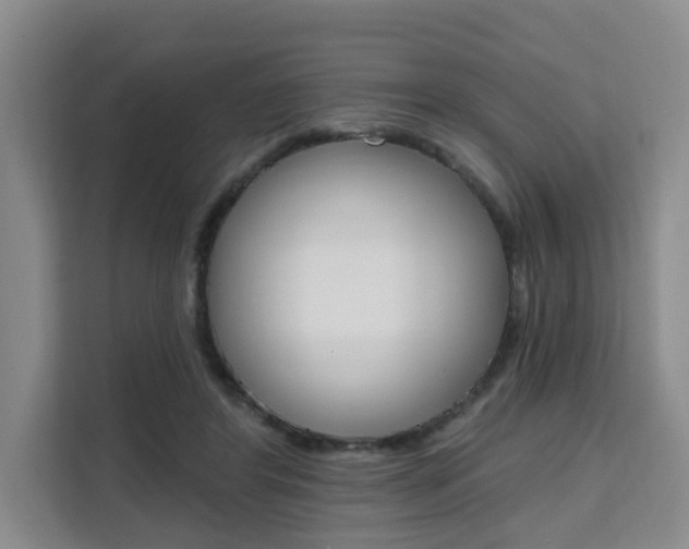 X0000111510404200907141108