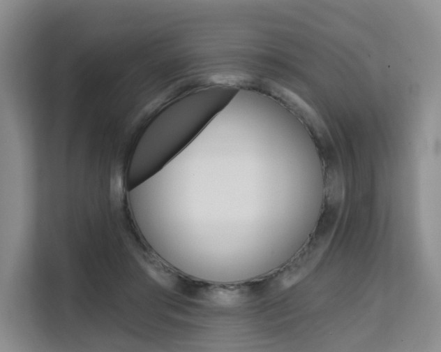 X0000111510405200907141108
