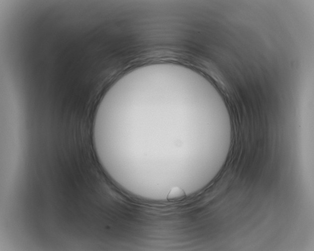 X0000111510411200907141108