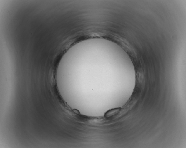 X0000111510422200907141108