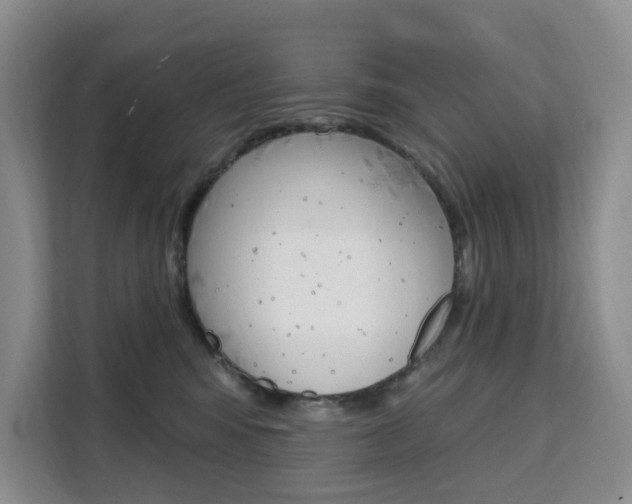 X0000111510424200907141108