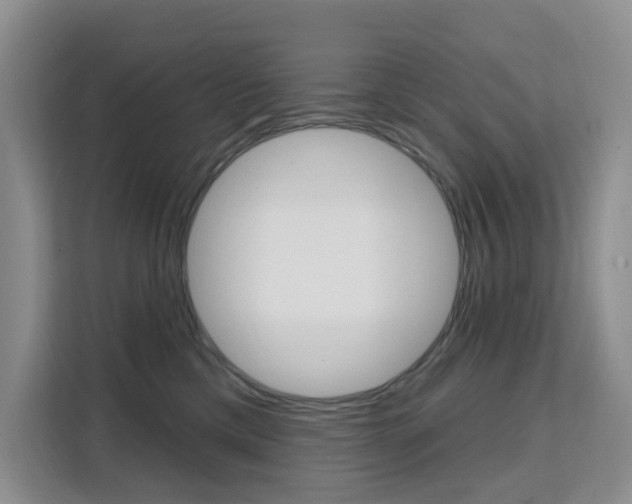 X0000111510425200907141108