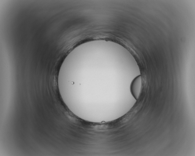 X0000111510426200907141108