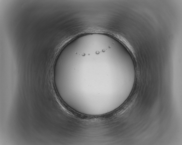 X0000111510433200907141107
