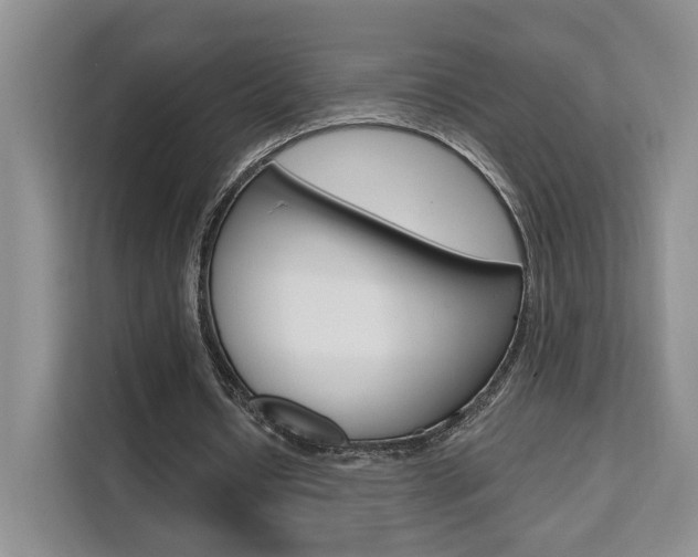 X0000111510434200907141107