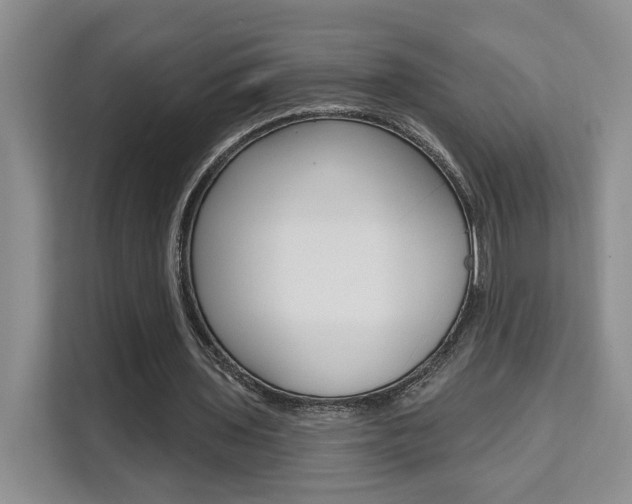 X0000111510435200907141107