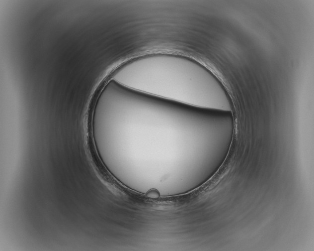 X0000111510438200907141107