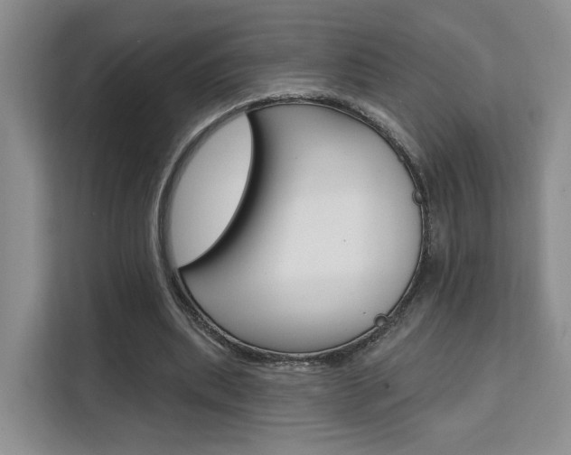 X0000111510439200907141107
