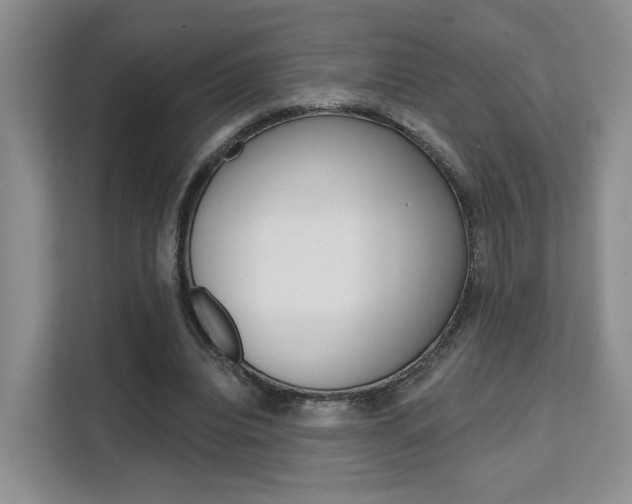 X0000111510440200907141107